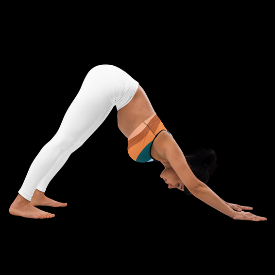 Range Breathable Sports Bra - Fresh And Famous